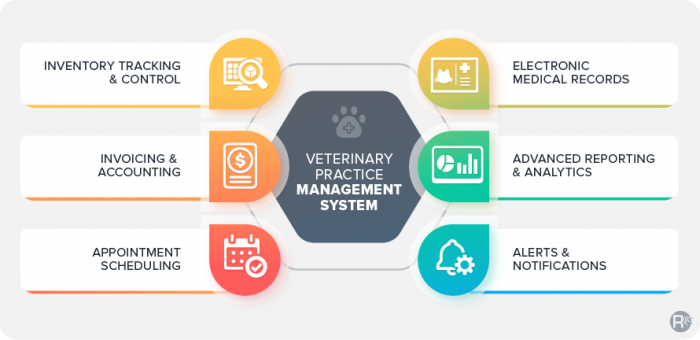 Veterinary Practice Management System Development